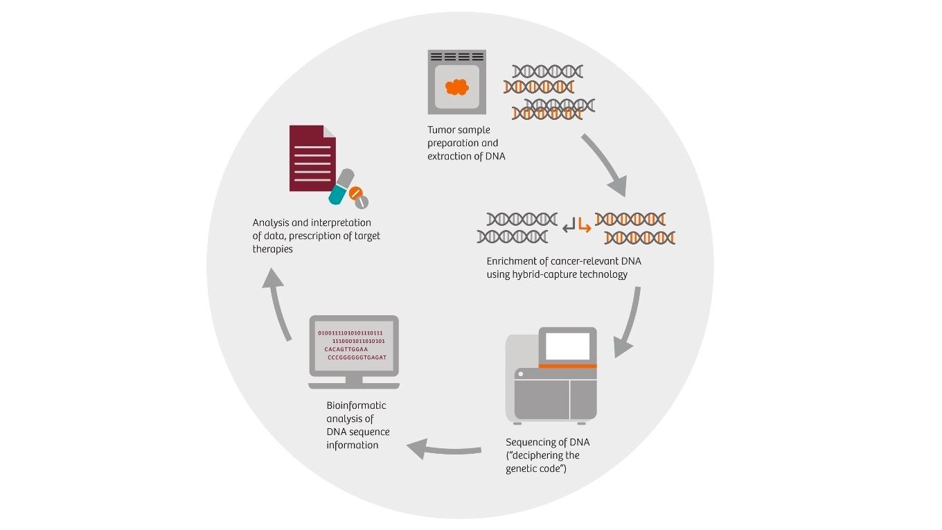 The last steps of cancer detections can be done with bioinformatics analysis by NEO New Oncology. 