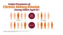 Chronic Kidney Disease: A Global Crisis