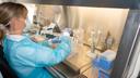 Molecular tests are pivotal in combating the COVID-19 pandemic