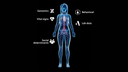 A Digital Twin includes individual data from genomics, vital signs, social determinants, behavioral and lab data.