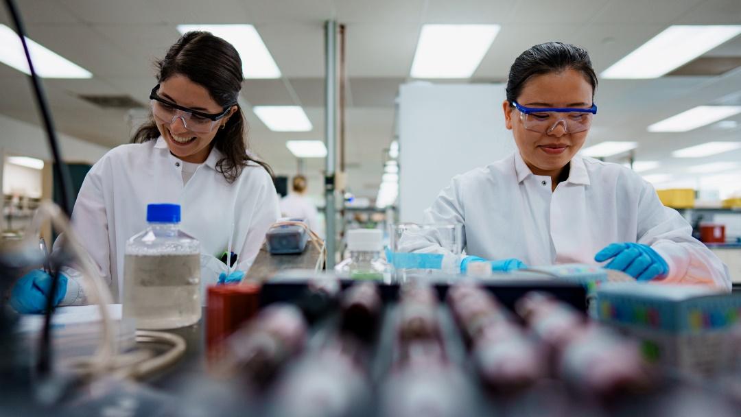 Zwei Kolleginnen, die im Labor Assays entwickeln.