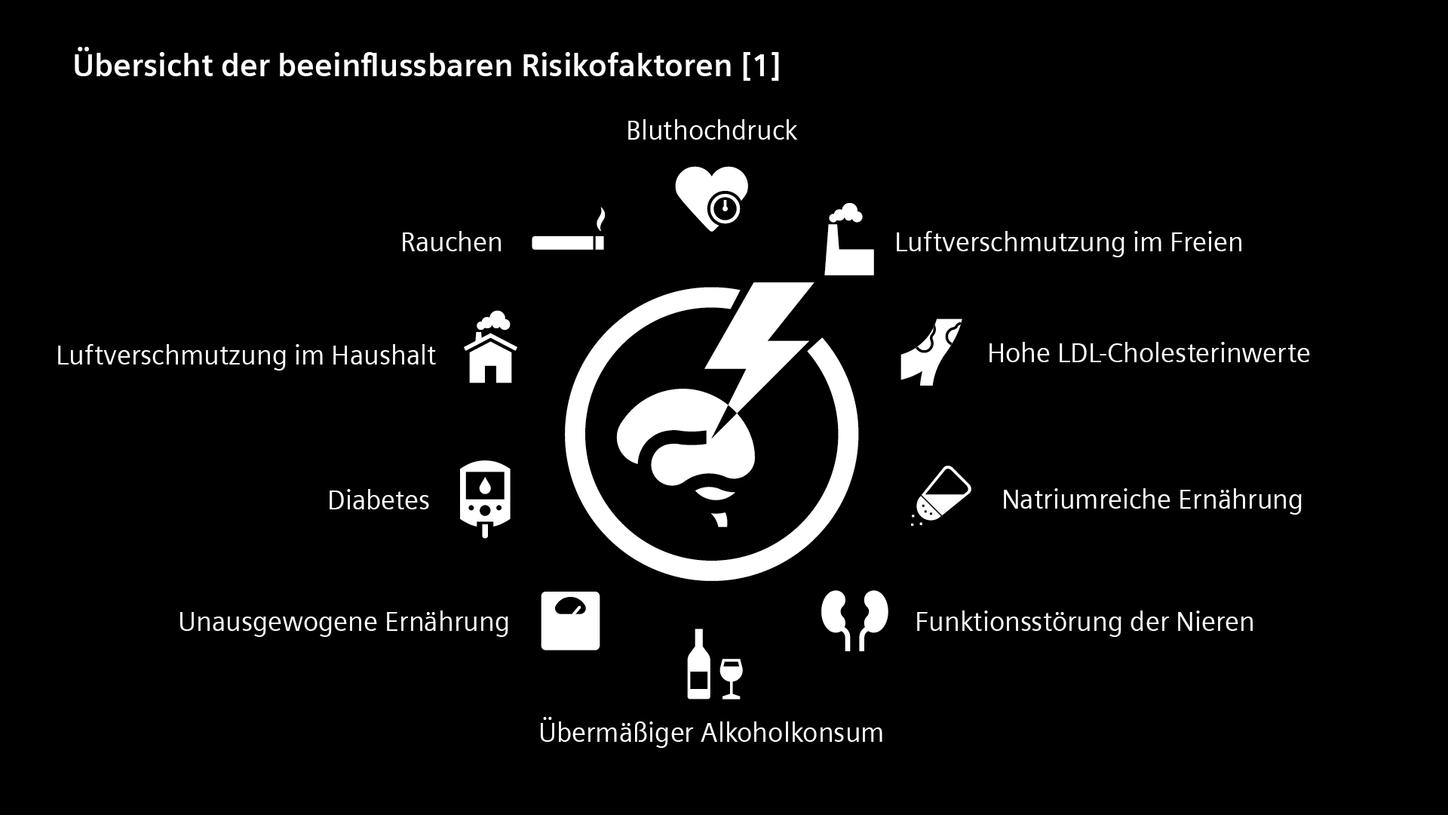 Überblick der beeinflussbaren Risikofaktoren