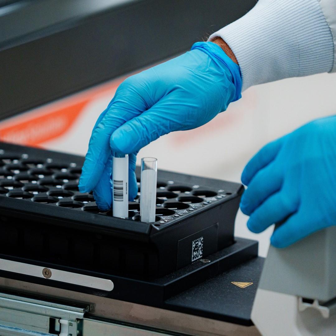 Zwei Proben werden in ein Analysegerät gegeben.